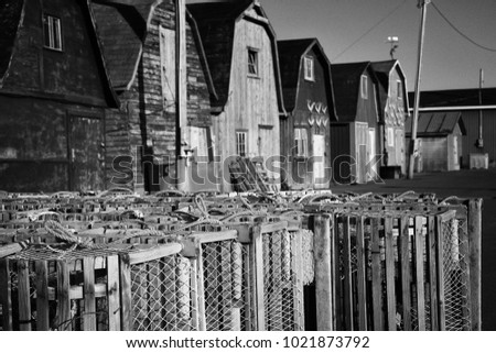 Lobster pot with oysters barns in background  in New London, Prince Edward island also called PEI.   Black and white picture.