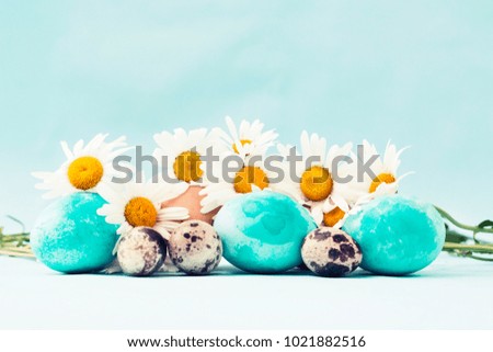 Pastel and colorful easter eggs with daisy flowers