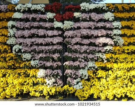 Heart shaped flower wall, concept of Valentine's Day 