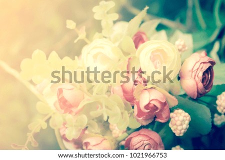  Soft spring flower background 