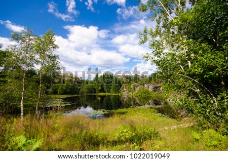Lake with still water reflections with reeds, water lilies, forest with green leaf trees and pine trees, and blue sky with white clouds on a sunny summer day.