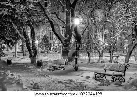 Bench in the winter park at night with decorations, lights and trees after strong snowfall. Monochrome image.