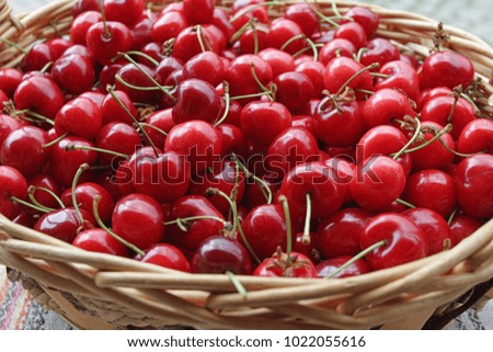 Cherries. Cherry. Organic cherries in basket on a farmer’s market. Red cherry background. Fresh cherries texture. Healthy food concept. 
