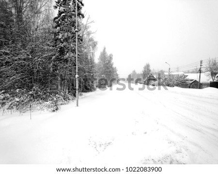 Winter forest after snowfall. Winter landscape in nature