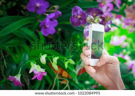 Young handsome are taking a picture of a flower from a smartphone.