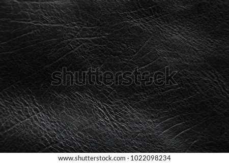 Skin texture from Black Leather Bag