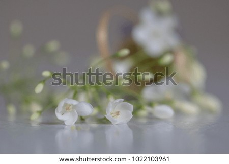 Lovely little white flowers in a wooden basket falls on the floor. Beautiful background.