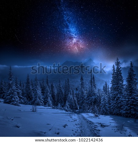 Tatras Mountains in winter at night and stars, Poland