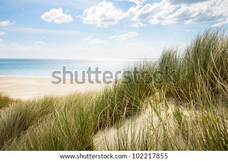 sunny beach with sand dunes and blue sky Royalty-Free Stock Photo #102217855