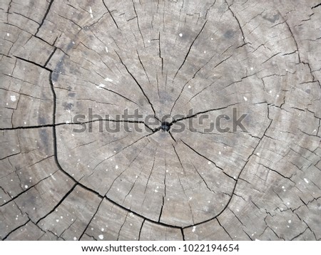Cracked wood texture