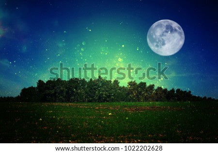 Surreal fantasy concept - full moon with stars glitter in night skies background