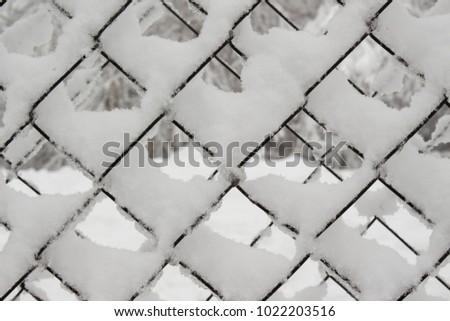 snow-covered fence netting