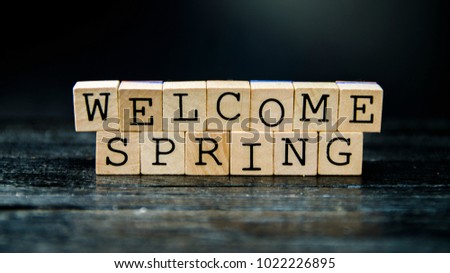 Welcome Spring - wooden cube with letters / alphabets printed on it