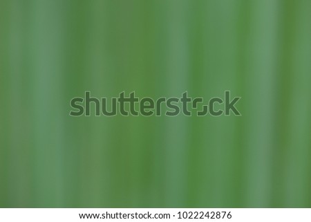 Blur nature background as abstract wallpaper