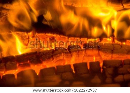 burning firewood coal closeup in the fireplace