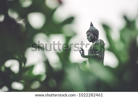 The standing buddha with green leaf foreground Royalty-Free Stock Photo #1022282461