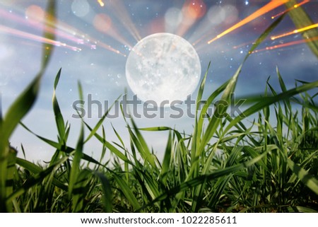 Surreal fantasy concept - full moon with stars glitter in skies background