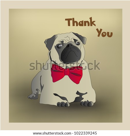 pug dog in a tie