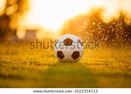 A ball on the green grass field for soccer football game under the sunset ray light and rain. Picture with space area.