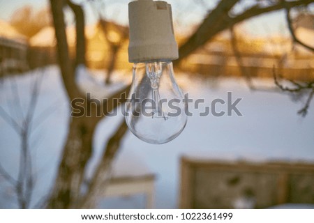 garland of light bulbs in the garden in winter