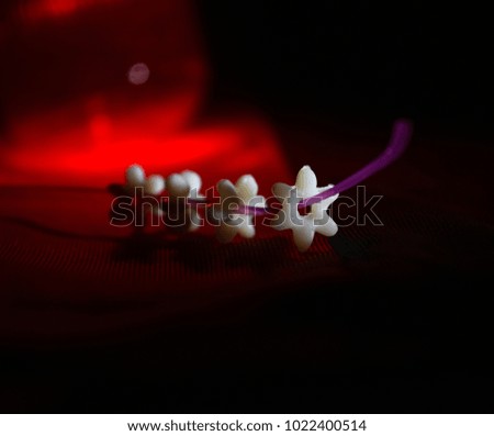 Star shape isolated unique objects abstract business background photograph