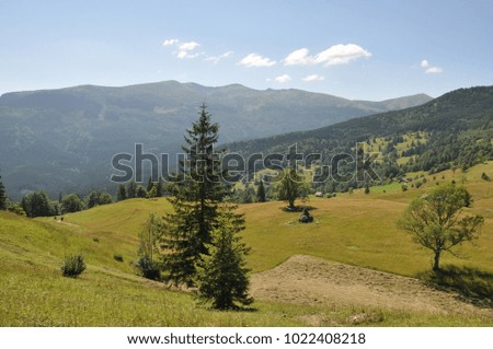 the sunny valley in the Carpathian mountains