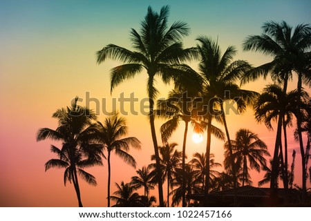 Tropical island sunset.