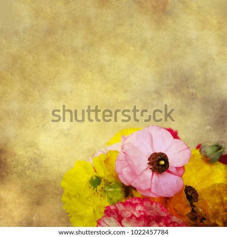 Beautiful Flowers background