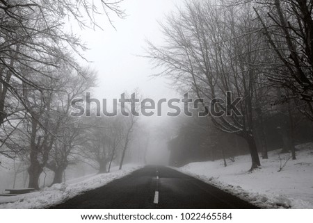 Road, snow and fog, Basque Country