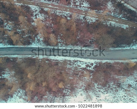 Forest in the mountains in winter with road. Aerial photo