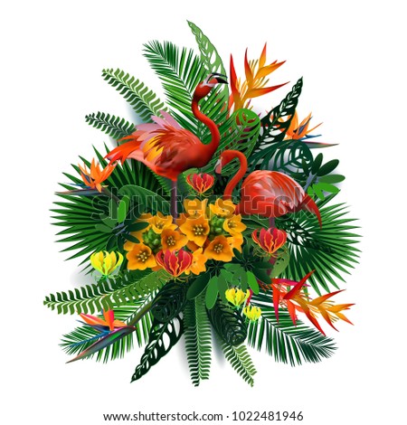 elegant vector composition of tropical leaves, flowers and toucans for printing on T-shirts, design of tropical travel, 