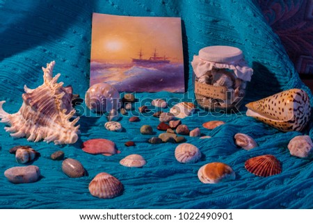 Sea Still Life with shells 
Russian inscription on the jar is: Remember about the sea