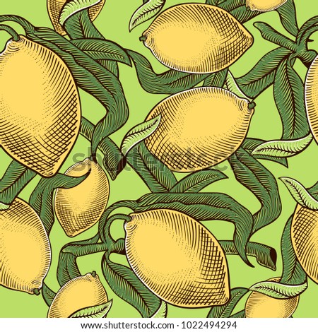 Vector colorful seamless pattern with hand drawn lemons on green background. Fruit engraved style illustration. Great for water, drink, natural cosmetics
