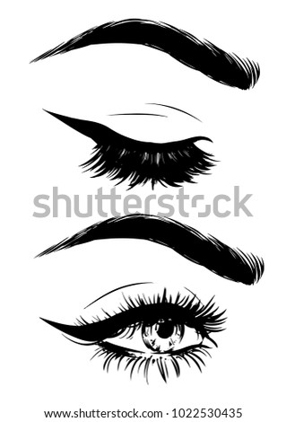 Woman eyes closed. Eyebrows. Full lashes