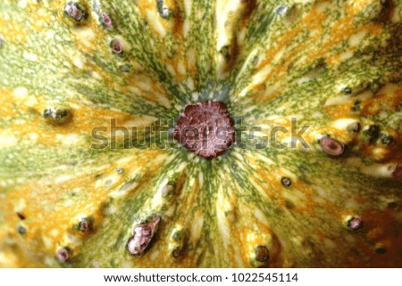 Pumpkin skin texture