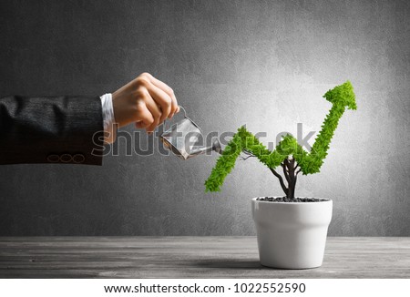 Hand of woman watering small plant in pot shaped like growing graph