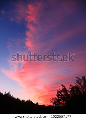Colorful sky with clouds at sunset above forest. Natural impressionism.