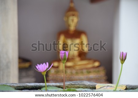 Budda and the flowers