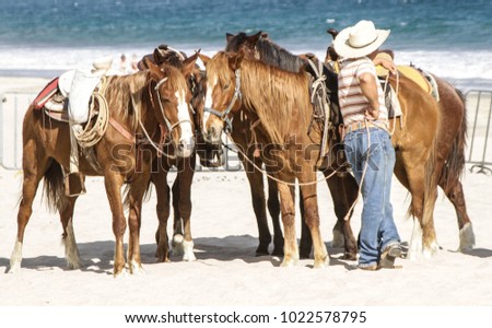 Cowboy and four horses on beach
