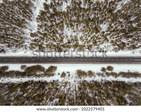 asphalt road and trees in the forest in winter view from above