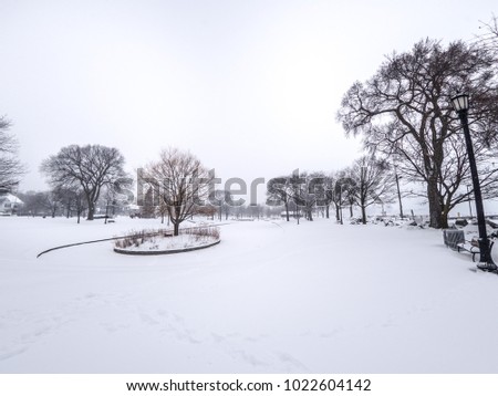 Snowy winter landscape photograph in Evanston Illinois showing the ground covered in deep snow and bare trees and white cloudy sky above for a beautiful background image.