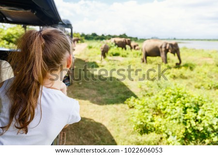 Back view of adorable little girl on safari in Sri Lanka observing elephants from open vehicle Royalty-Free Stock Photo #1022606053