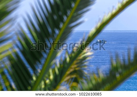 Palm tree and Boat at the sea. Summer travel Concept