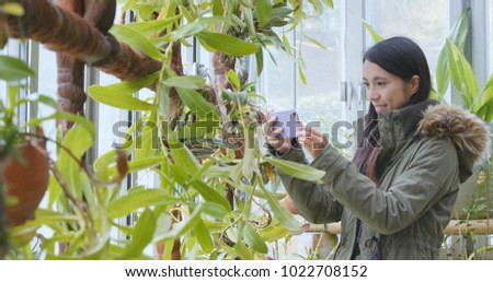 Woman taking photo on cellphone in green house 