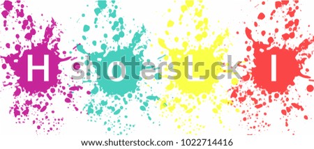 Holi text with multicolor splash on text. Vector design and illustration for banner and background design. 