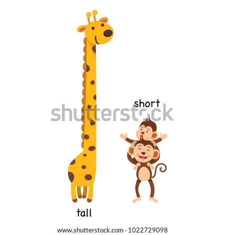 Opposite  tall and short vector illustration