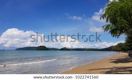 tree,sea ,beach,mountain and cloud with blue sky