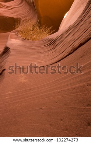 Lower Antelope Canyon in Arizona
