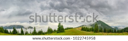 Panorama of the glade on mountain crest with forest on both sides on the background of a hill and cloudy sky in Eastern Carpathians in rainy weather
