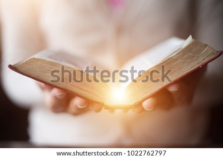 Women reading the Holy Bible.,Reading abook. Royalty-Free Stock Photo #1022762797